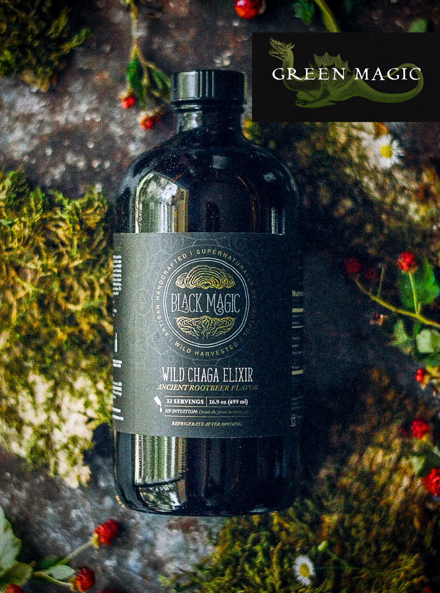 Wild Harvested Chaga Mushroom Rootbeer Elixir - Image 13