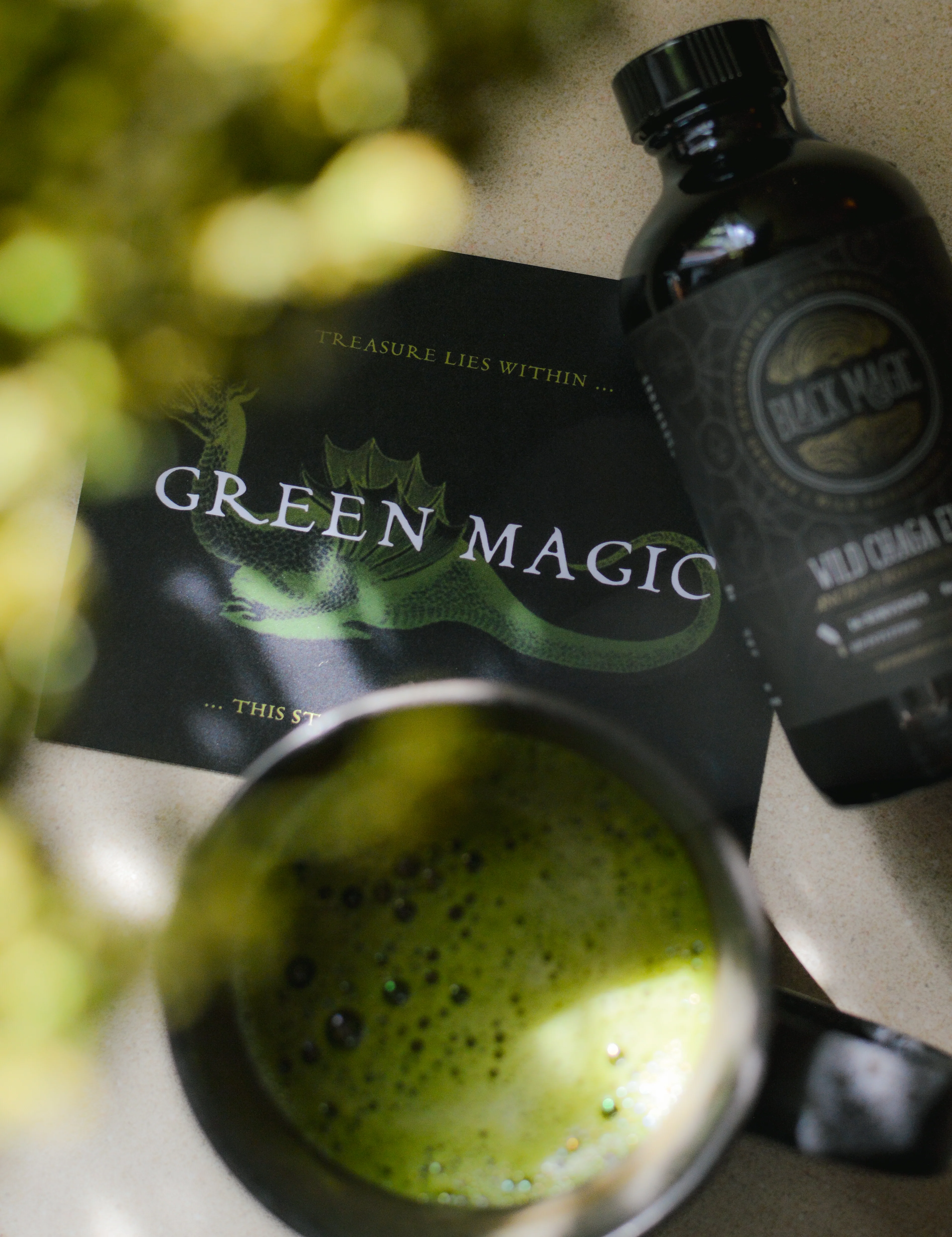 Wild Harvested Chaga Mushroom Rootbeer Elixir - Image 15