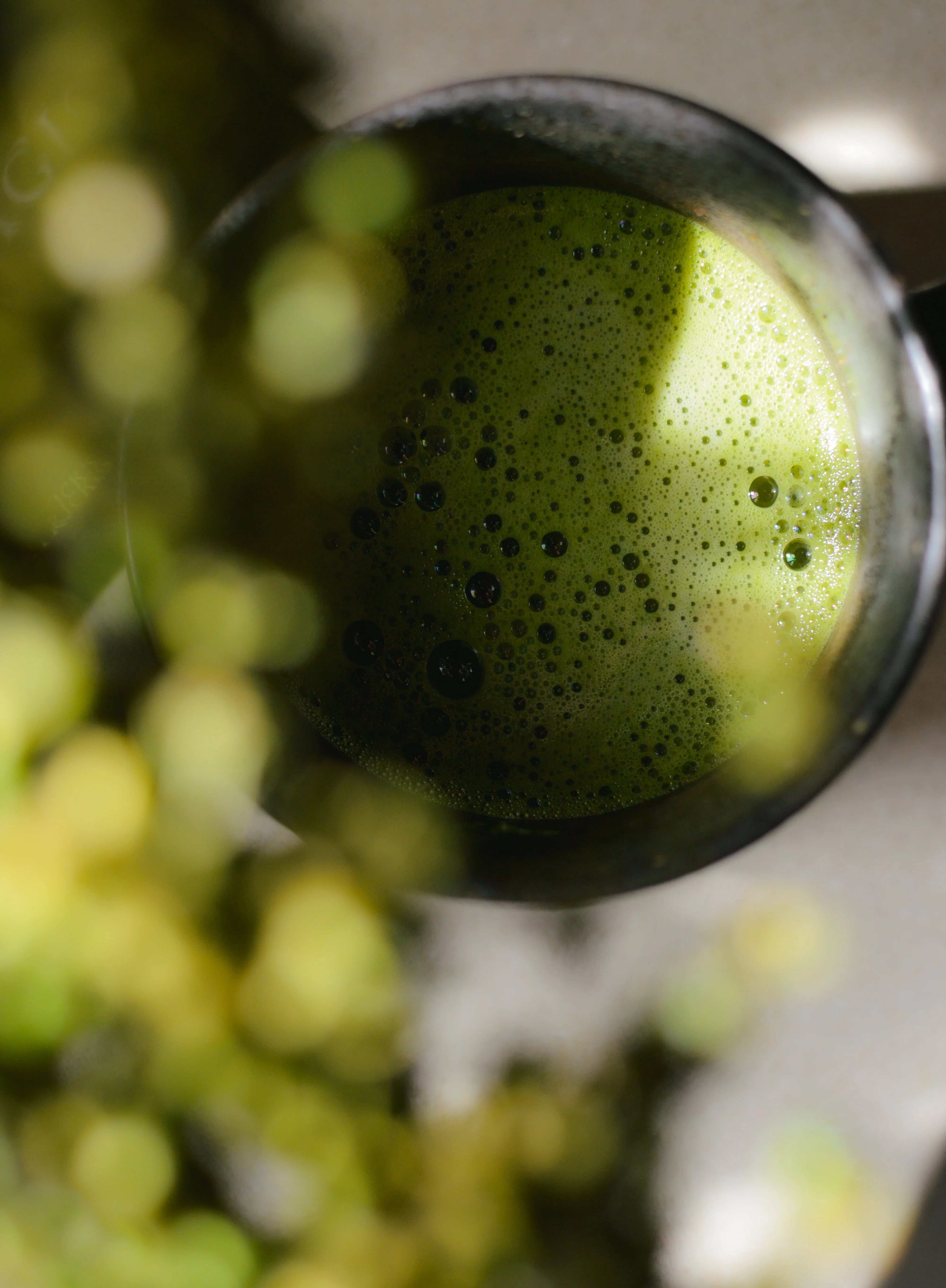 Wild Harvested Chaga Mushroom Rootbeer Elixir - Image 16