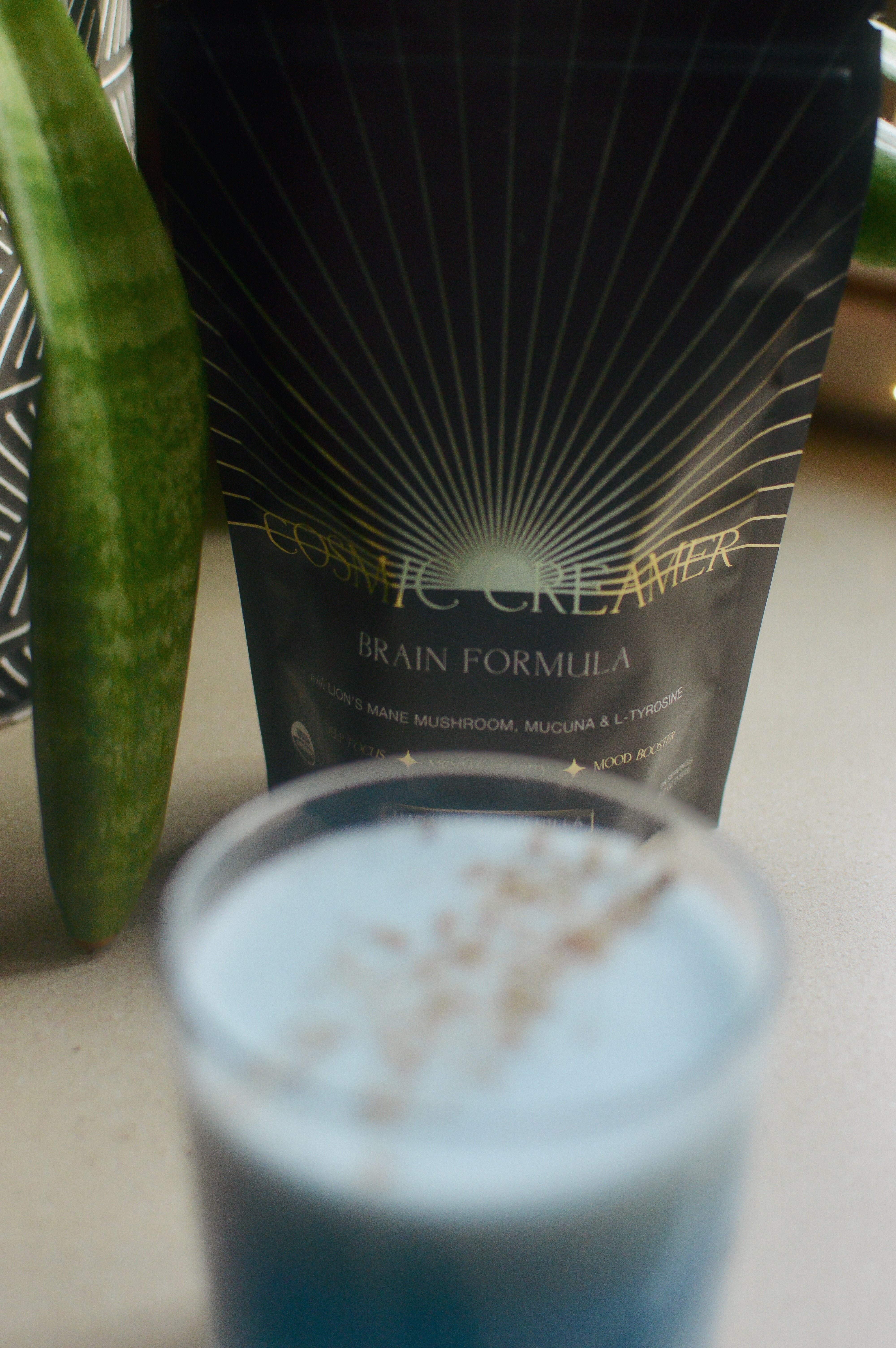 Cosmic Creamer: Lion's Mane Mushroom - Madagascar Vanilla - Image 6