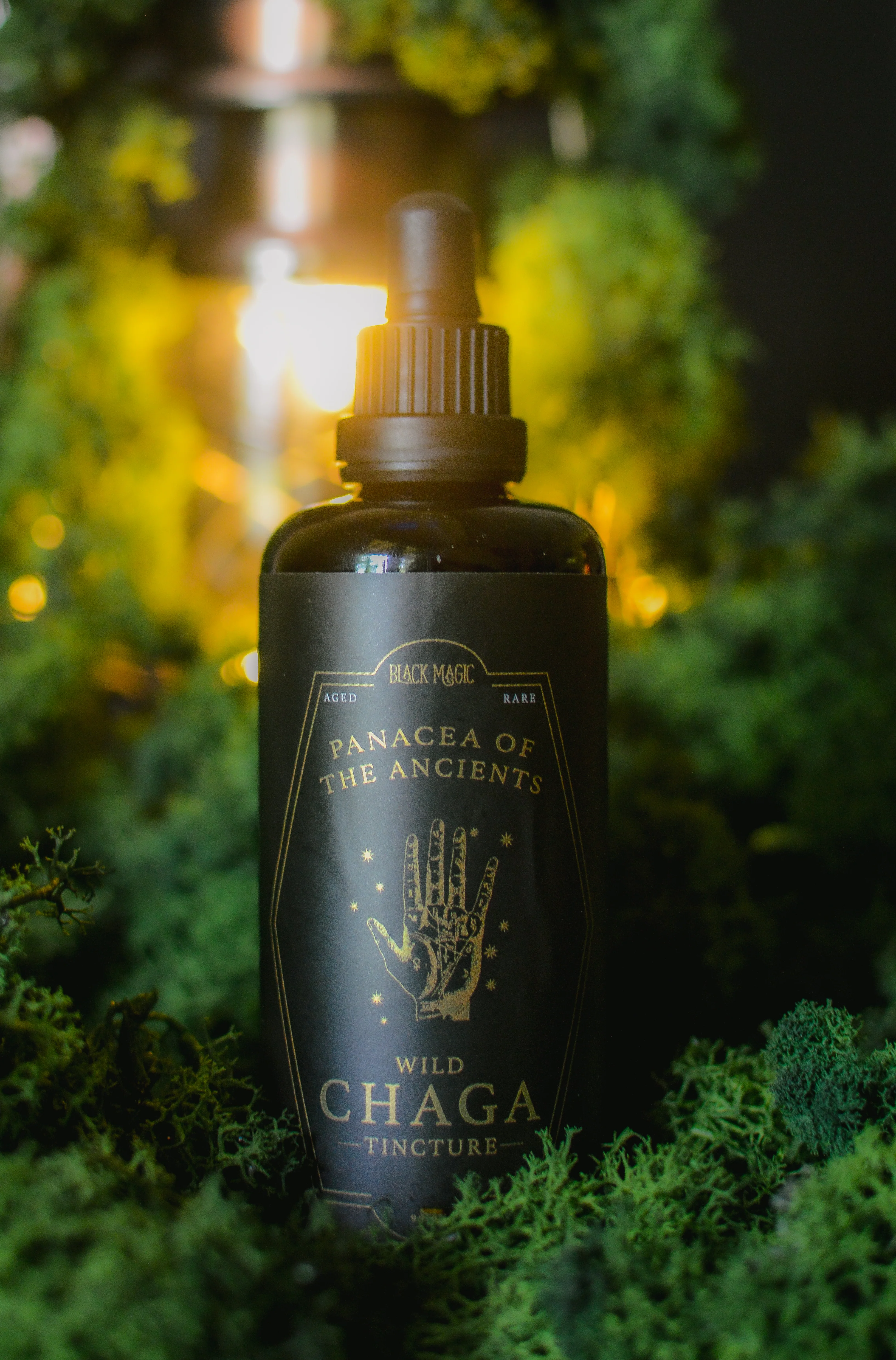 Panacea of the Ancients: Wild Chaga Tincture (Private Reserve) - Image 5