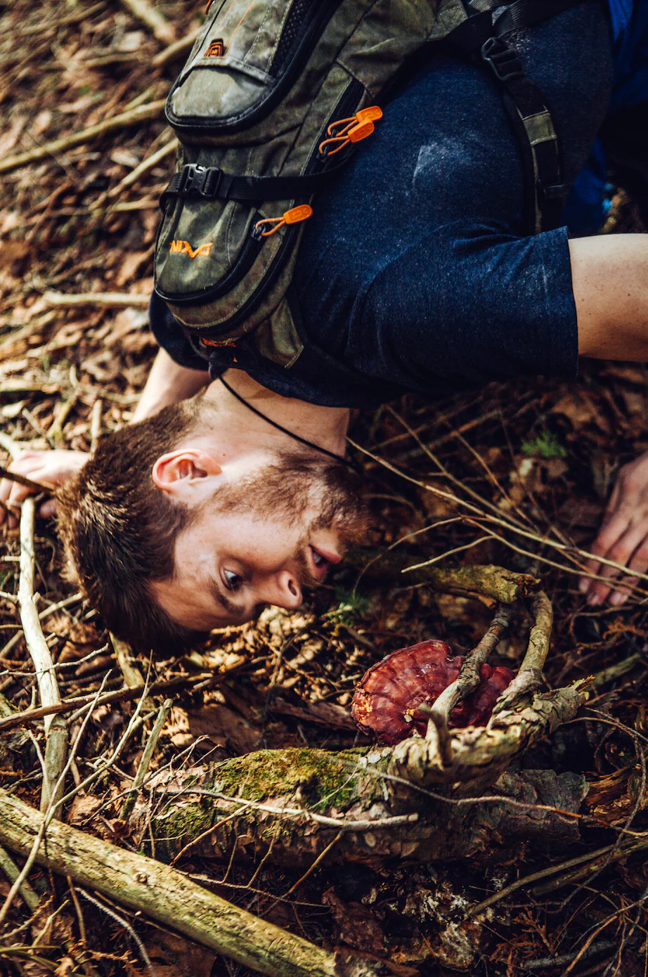 The Shroomy Temple | Wild Reishi Mushroom Tincture - Image 3