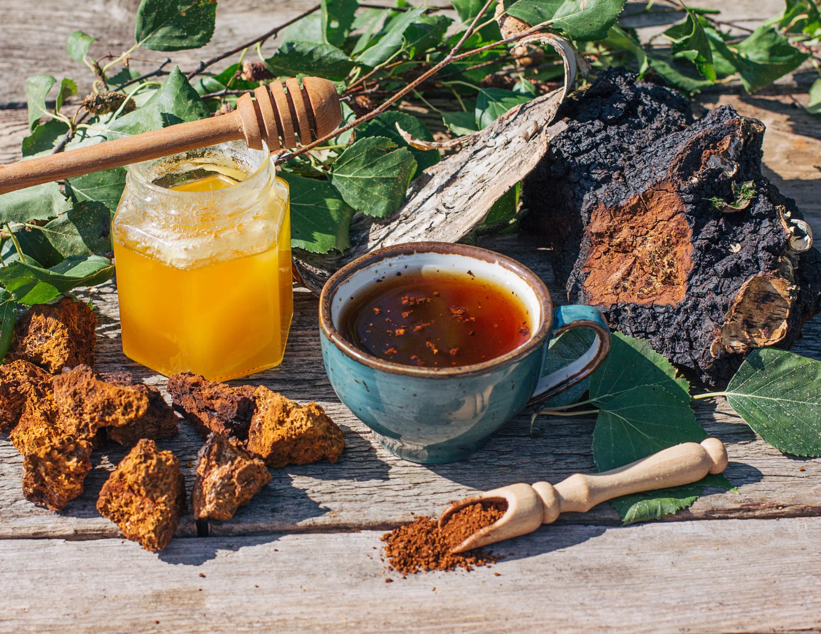 Sustainably Wild Harvested Chaga Mushroom Tea - Image 9